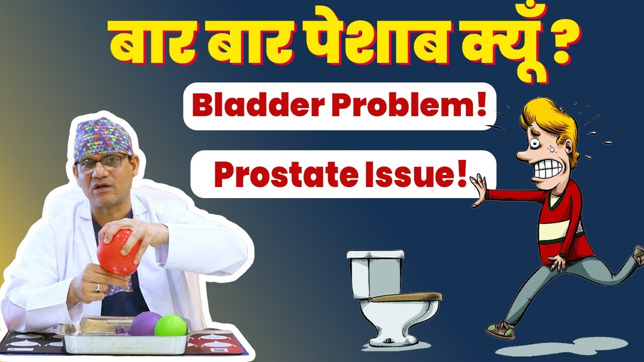 बार बार पेशाब करने की समस्या- आप का ब्लॉडर है कारण या प्रोस्टेट- Urinary bladder function 