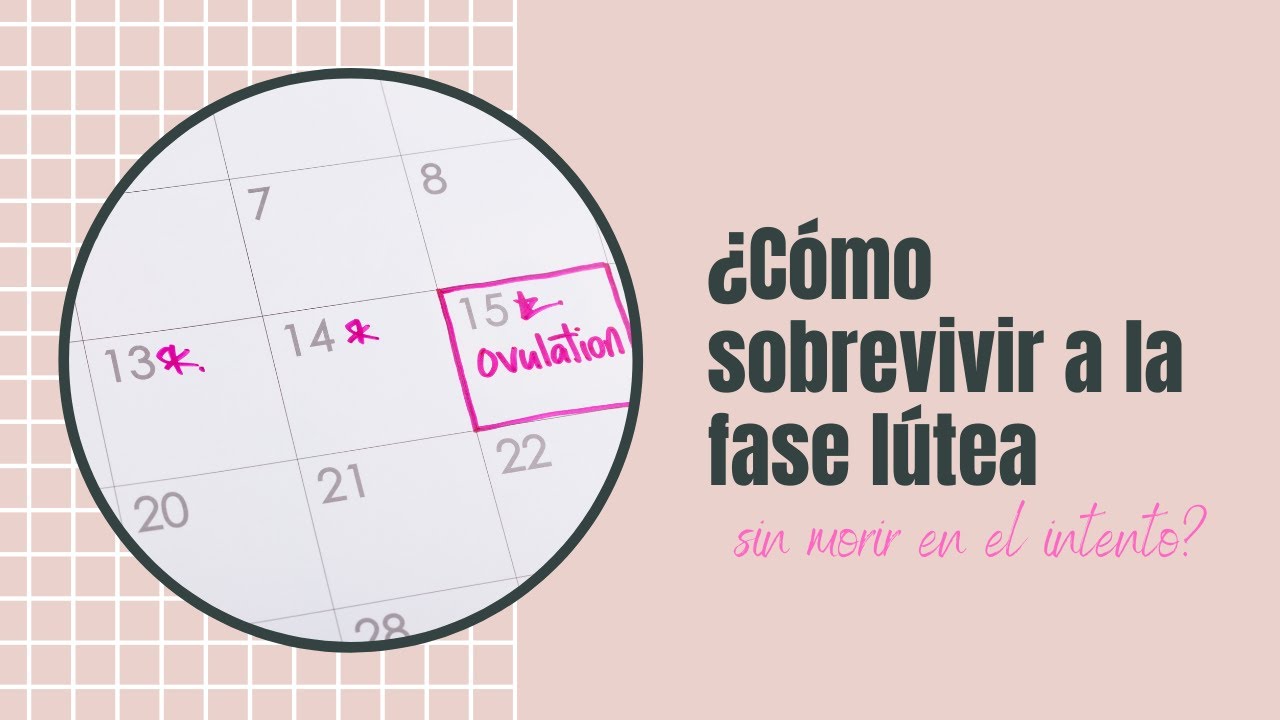 CONSEJOS para SOBREVIVIR a la FASE L&Uacute;TEA 😓 | B&uacute;squeda de embarazo 🤰