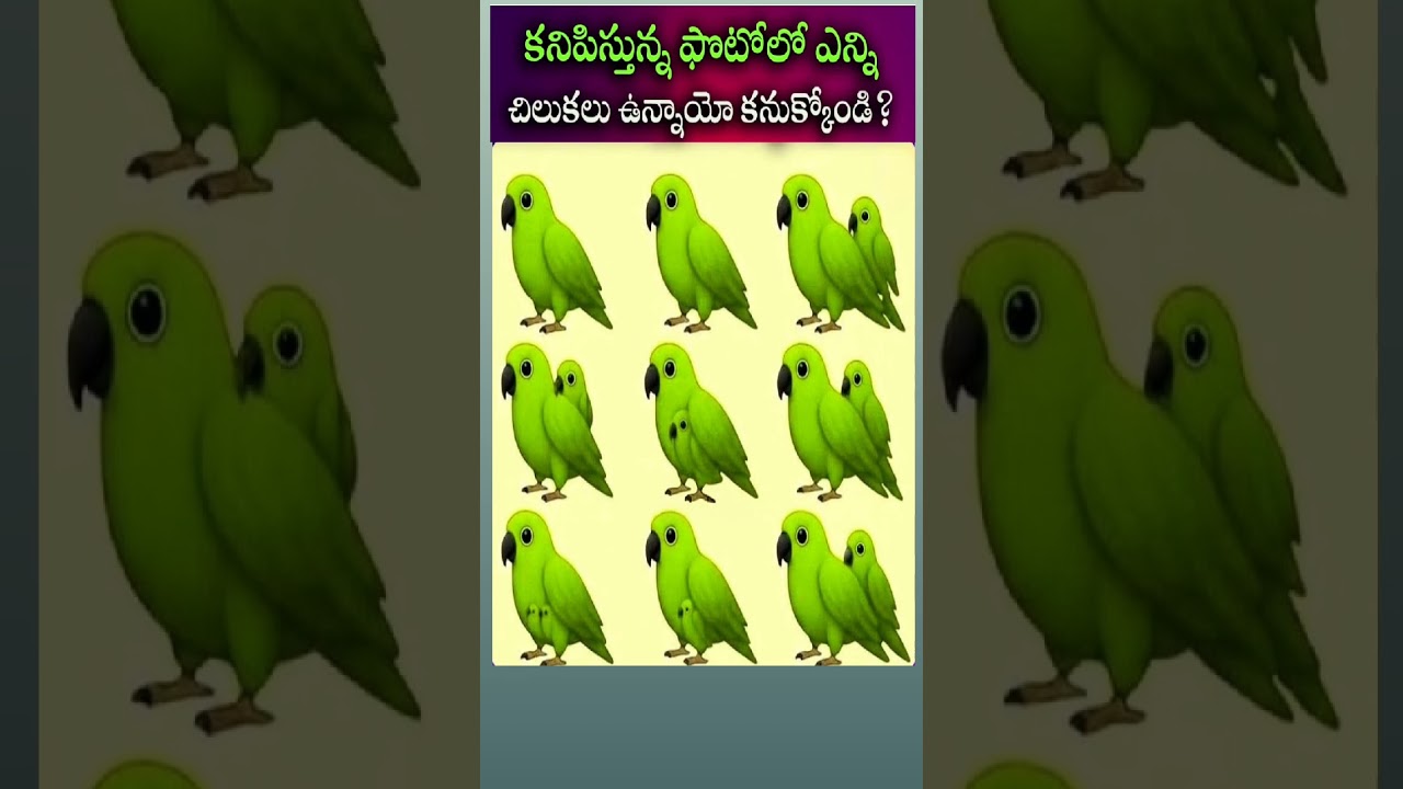 🦜 కనిపిస్తున్న ఫోటోలో మొత్తం ఎన్ని చిలుకలు ఉన్నాయి? మీ సమాధానం చెప్పండి!
