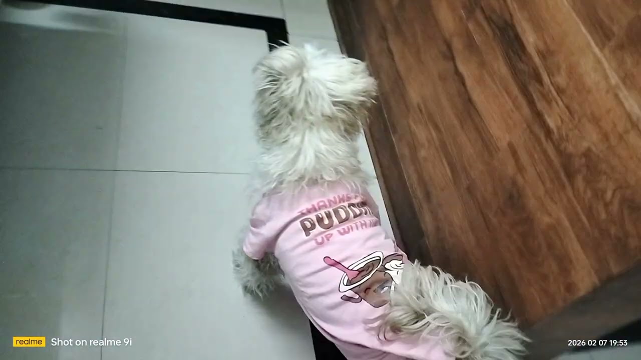 #घर और मां के हाथ का खाना किसे नहीं पसंद ❣️💝🥳👋🙏👍