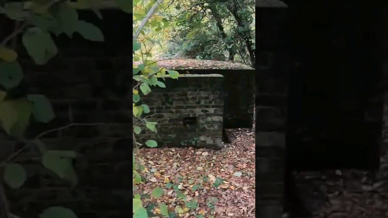 Britain's Forgotten WW2 Bunkers Hidden In The Woods #bunker #exploring #ww2