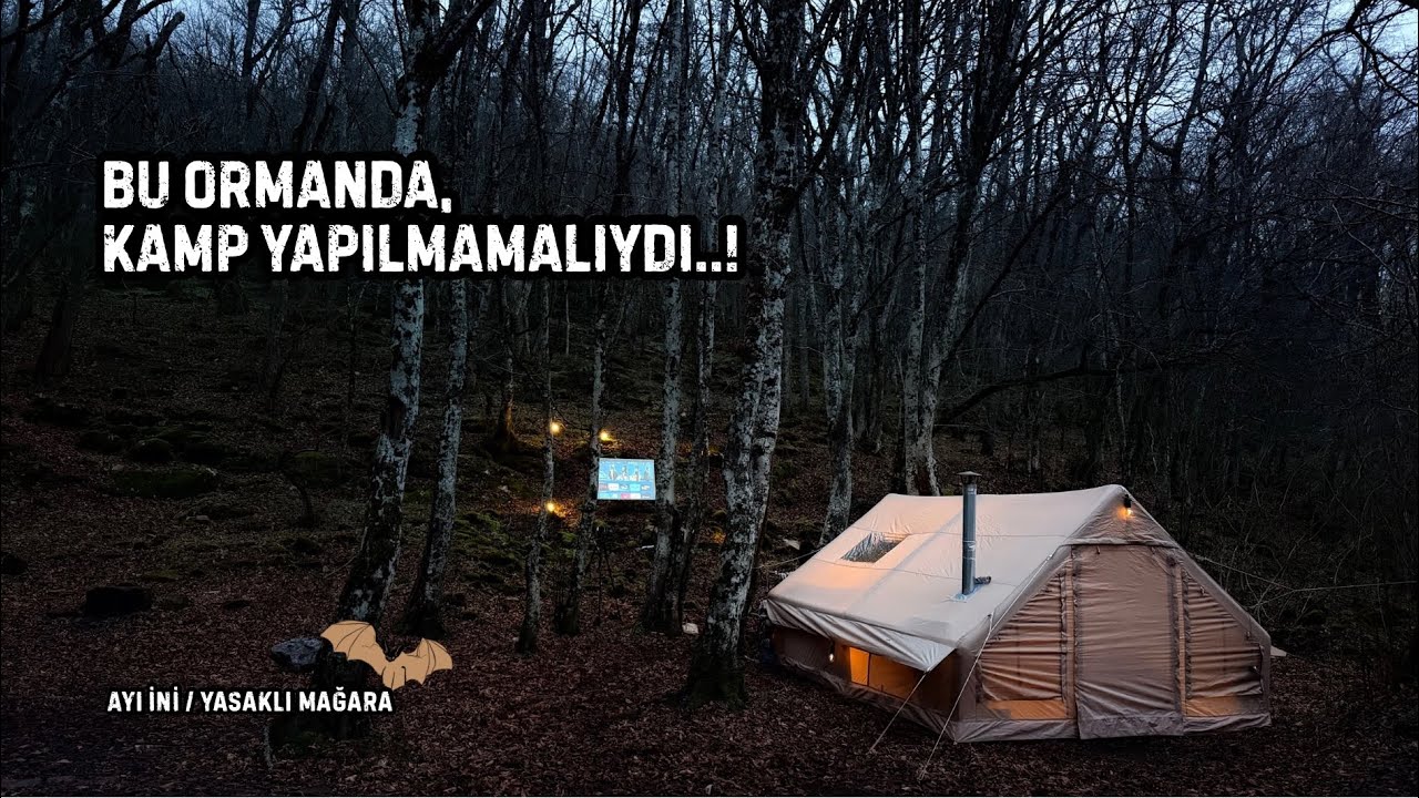 BU ORMANDA KAMP YAPILMAMALIYDI… AYI İNİ BULDUK | YASAK MAĞARA 