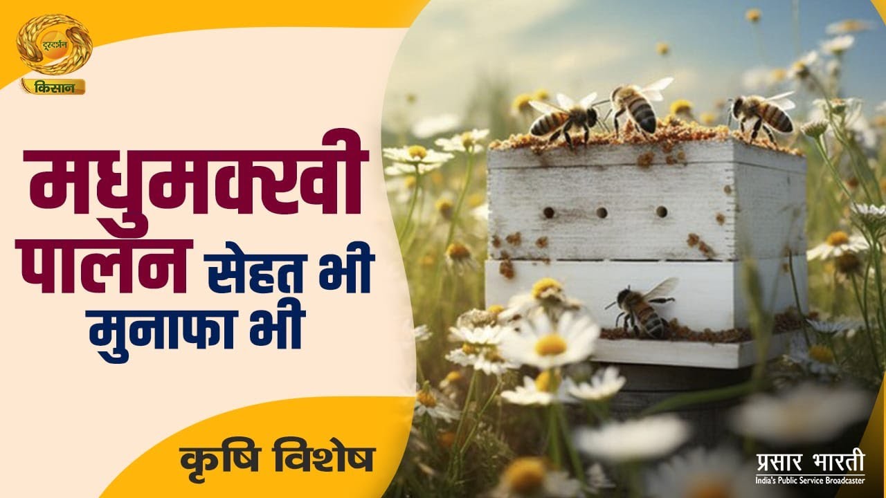 Krishi Vishesh | कृषि विशेष- मधुमक्खी पालन सेहत भी मुनाफा भी | DD Kisan | July 03, 2025