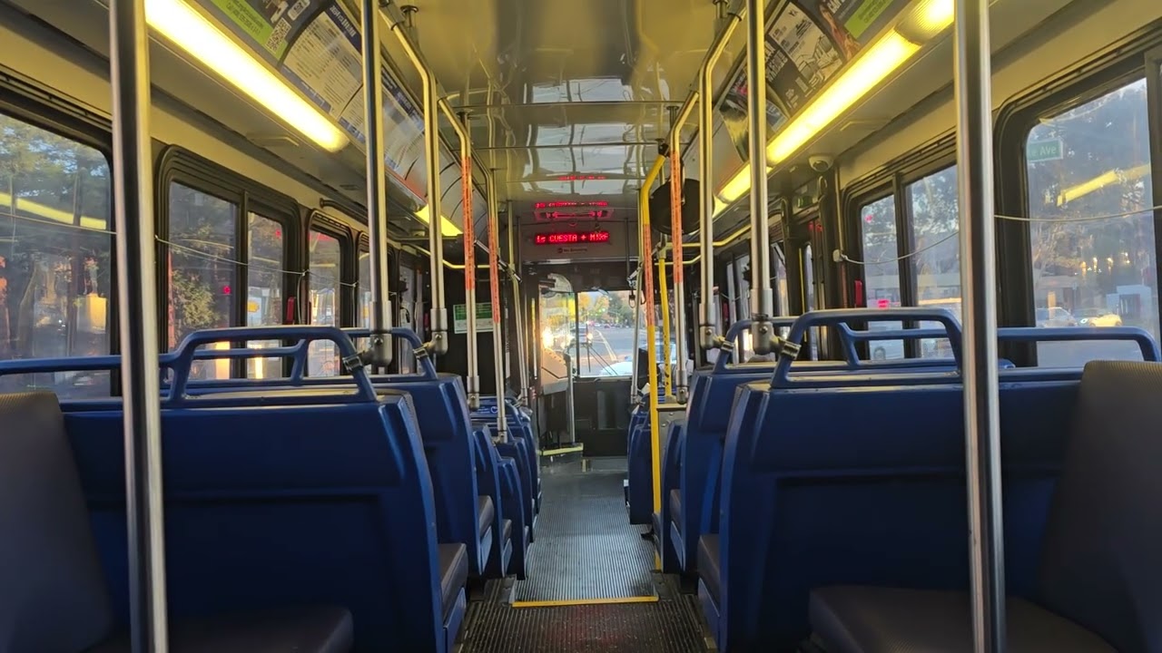 Bus #1010 on 51 