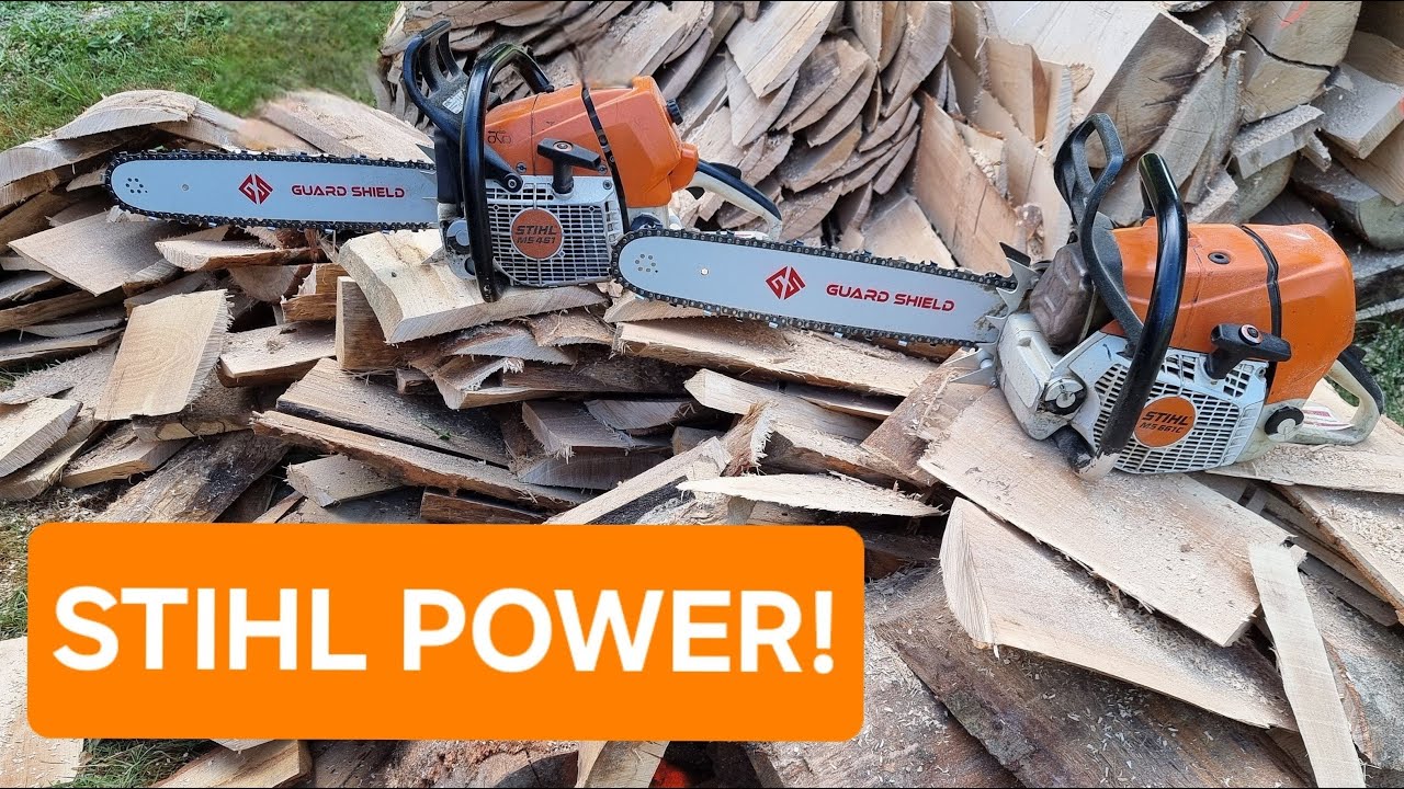 STIHL BEASTS!!! MS 461 and MS 661C IN ACTION 💪 #stihl #chainsaw #wood #woodworking #diy #action