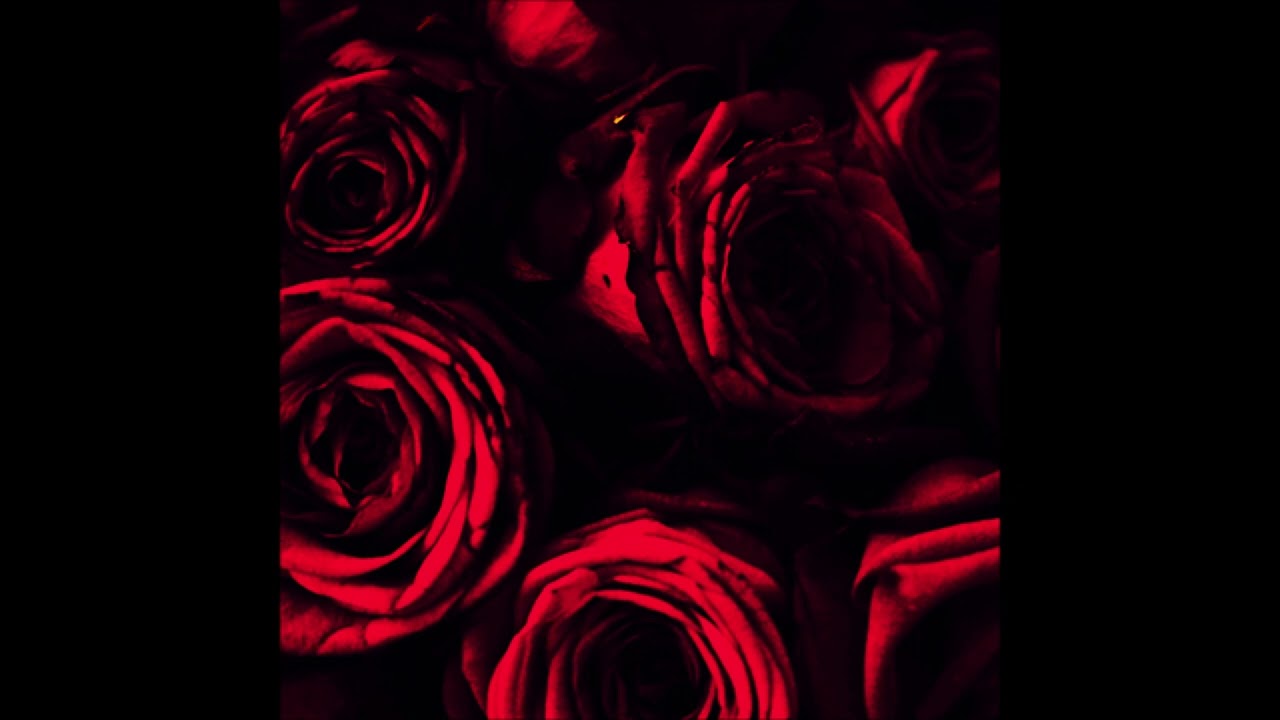 BLANCO - L'Isola Delle Rose ( Slowed&Reverb )