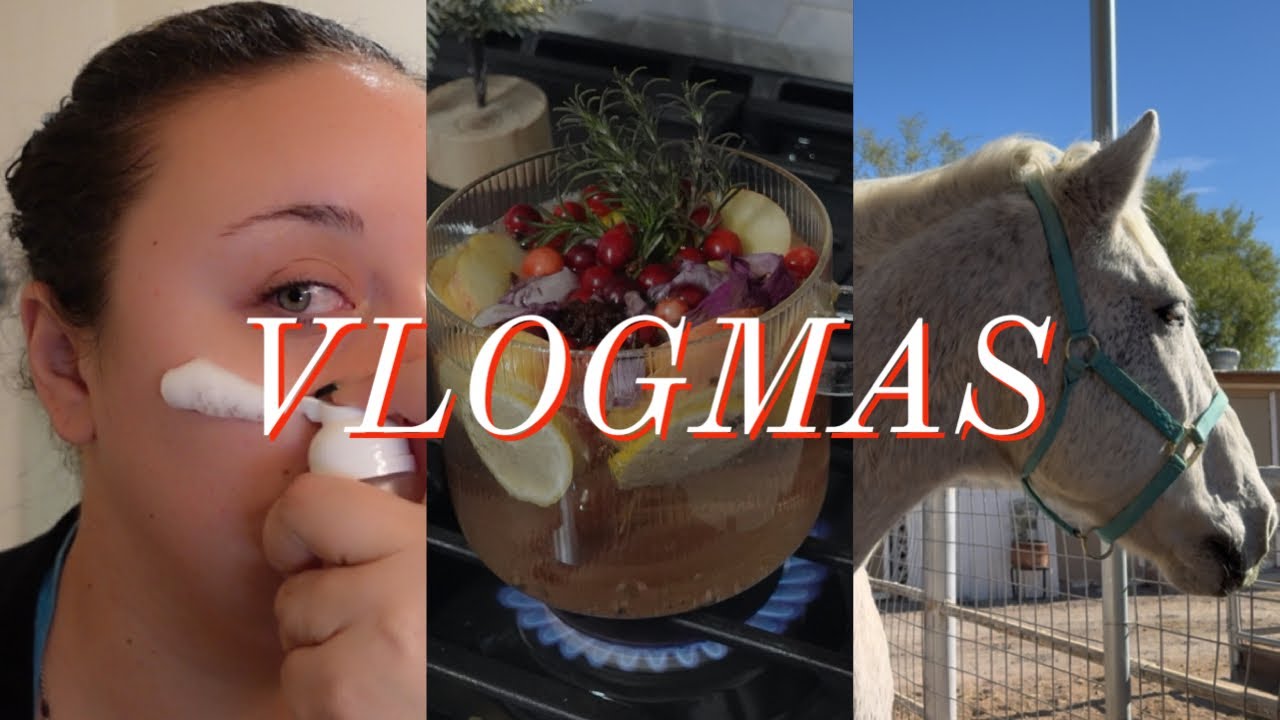 VLOGMAS / PEDICURE/ HARVEY/ POTPOURRI