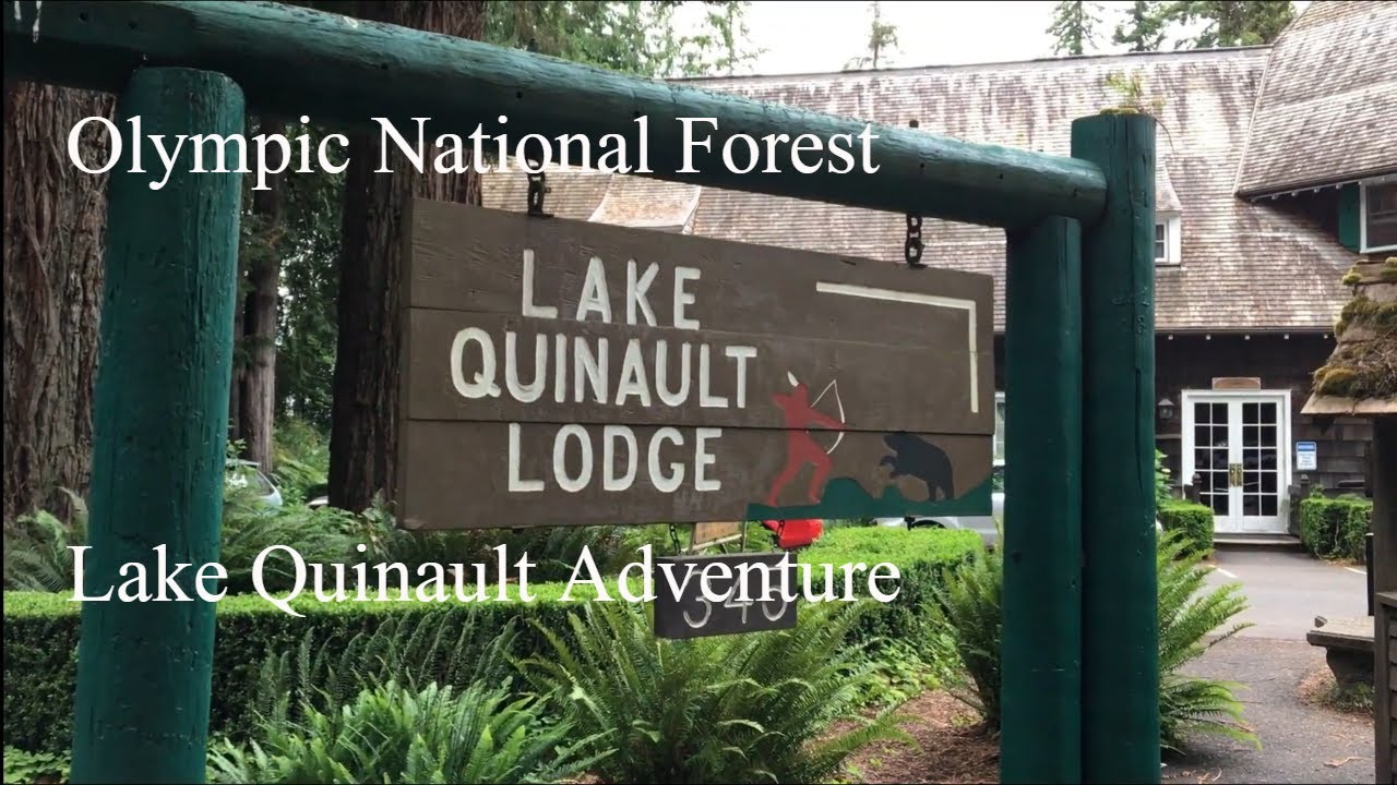 Olympic National Forest Lake Quinault Adventure