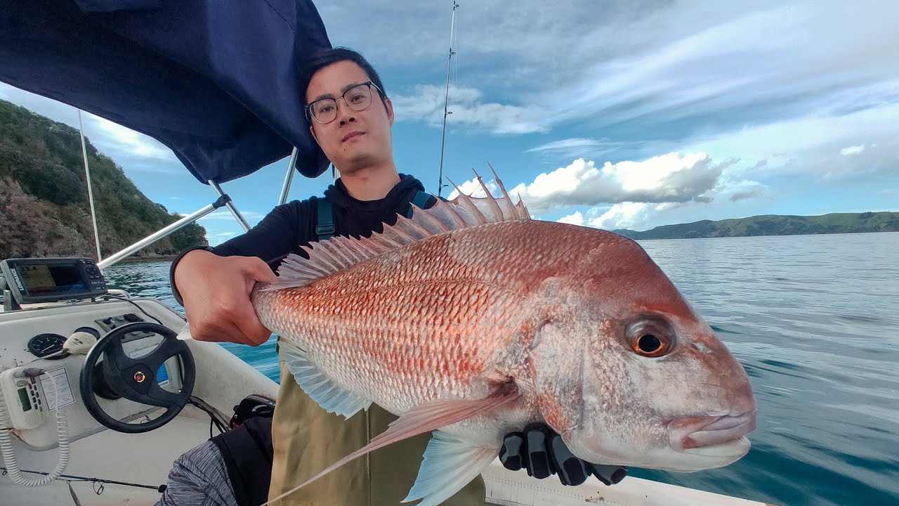 【钓鱼】Coromandel Fishing, Papa Aroha Holiday Park, New Zealand 新西兰海钓 钓鱼