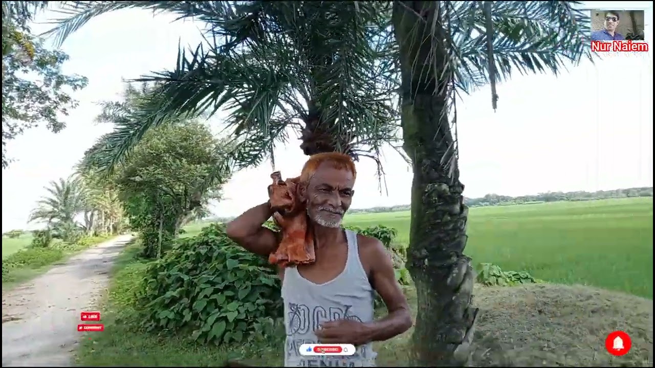 অপরূপ সুন্দর, বাংলার গ্রামের মেঠোপথ। সবুজ ধানক্ষেত, আর নীল আকাশে সাদা মেঘের ভেলা।