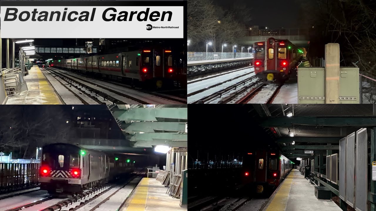 MNRR: M3A, M7, M8, & P32 Action @ Botanical Garden (M3A, M7, M8, & P32)