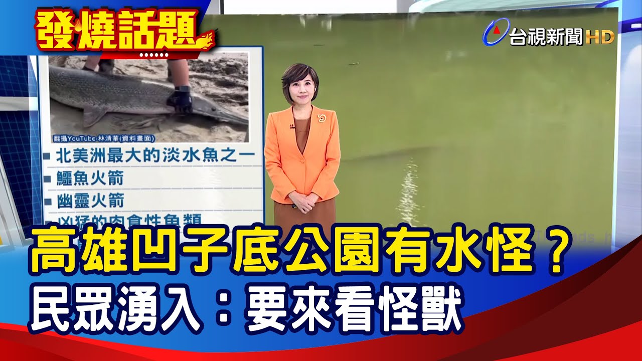 高雄凹子底公園有水怪？ 民眾湧入：要來看怪獸【發燒話題】-20260119