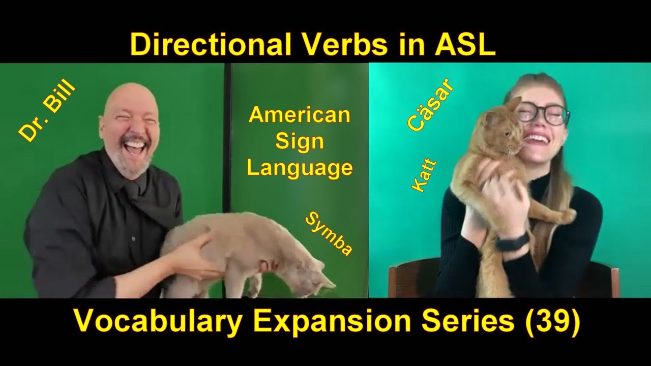 Directional Verbs in ASL (Dr. Bill Vicars and & Cäsar Jacobson) (VES 39) (indicating verbs) grammar