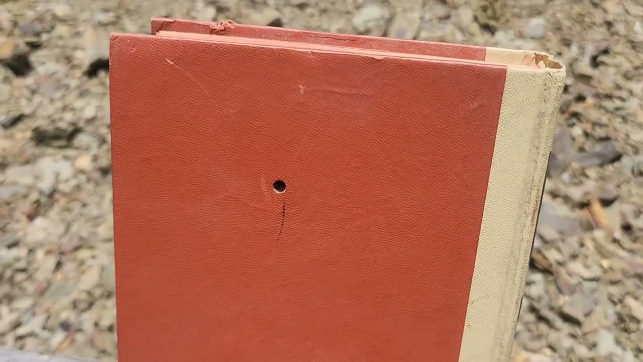 Gamo Swarm Maxxim G2 Pellet Rifle Review