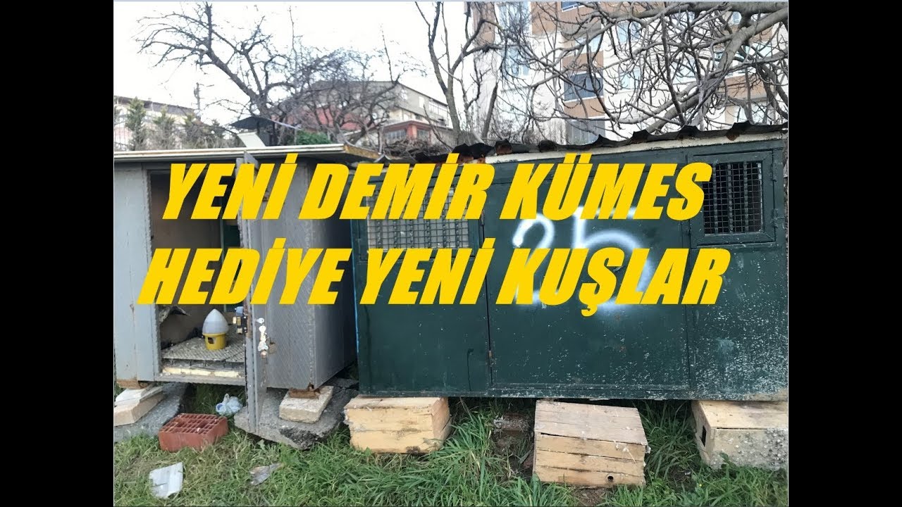 YENİ DEMİR KÜMES VE YENİ HEDİYE KUŞLAR