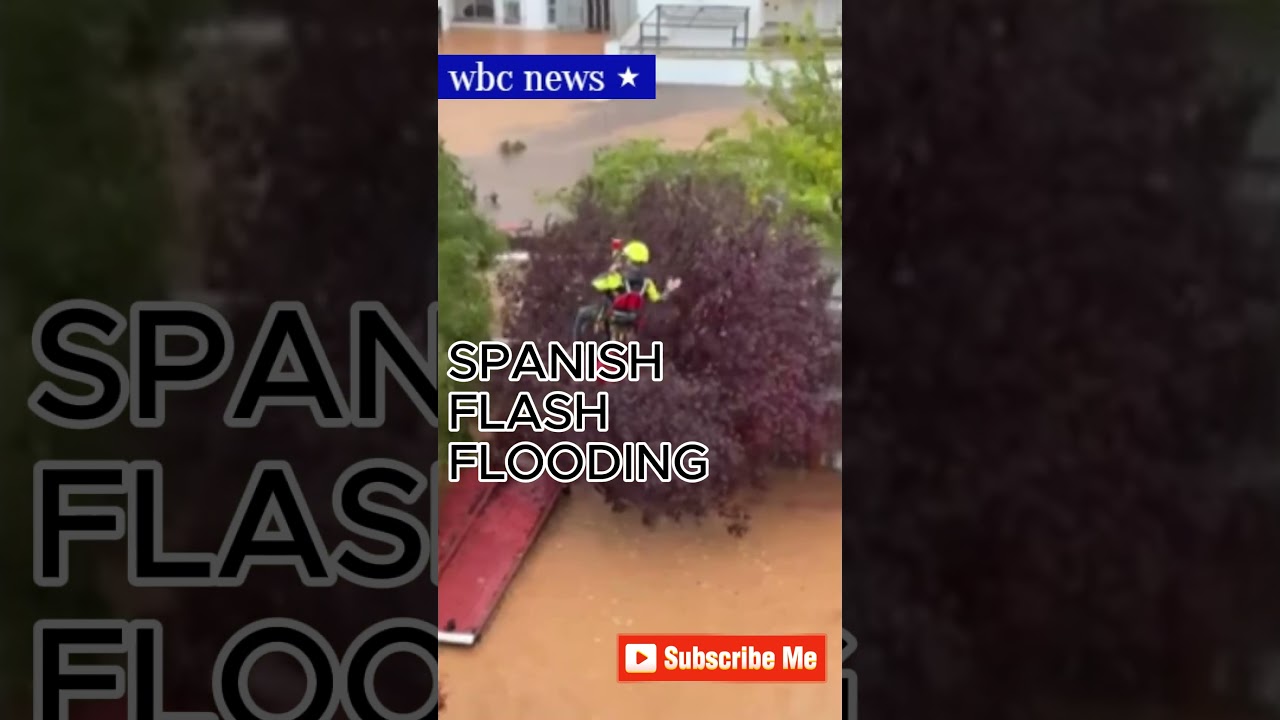 WATCH: Emergency services rescue woman and her dog trapped in Spain floods