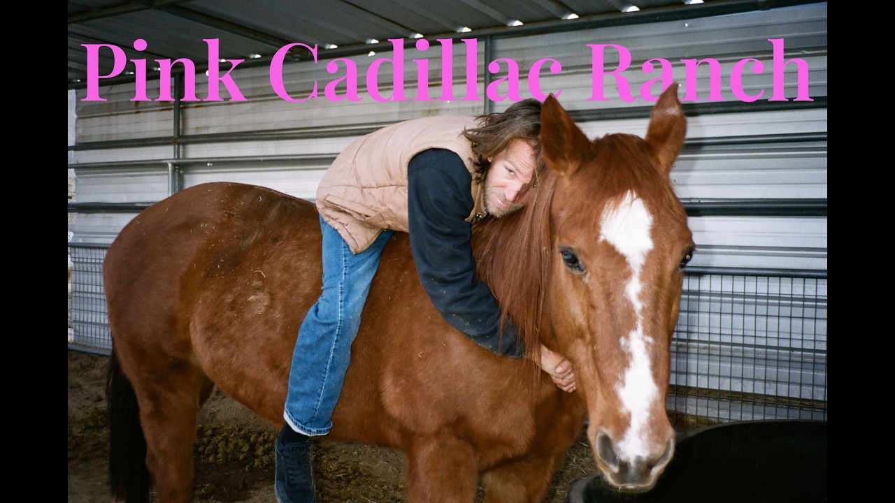 Pink Cadillac Ranch With Bryan Herman