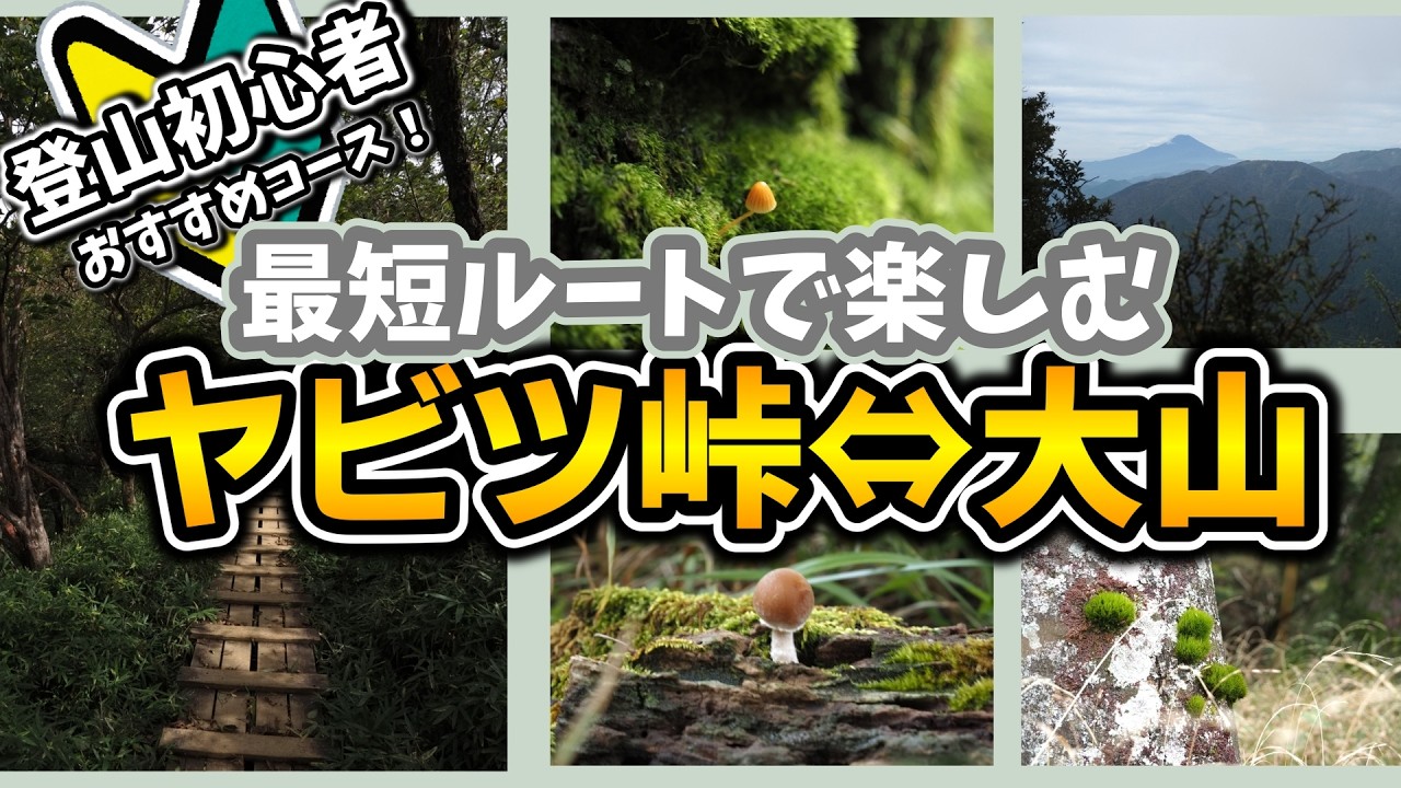 登山初心者におすすめ！丹沢【ヤビツ峠⇔大山山頂】大山最短コースに挑む！