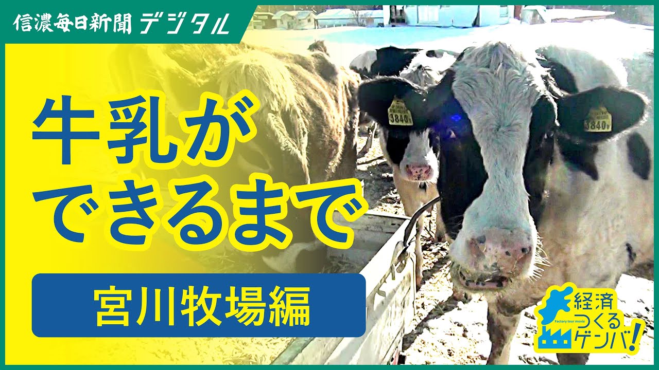 牛乳ができるまで（前編）宮川牧場【経済つくるゲンバ】