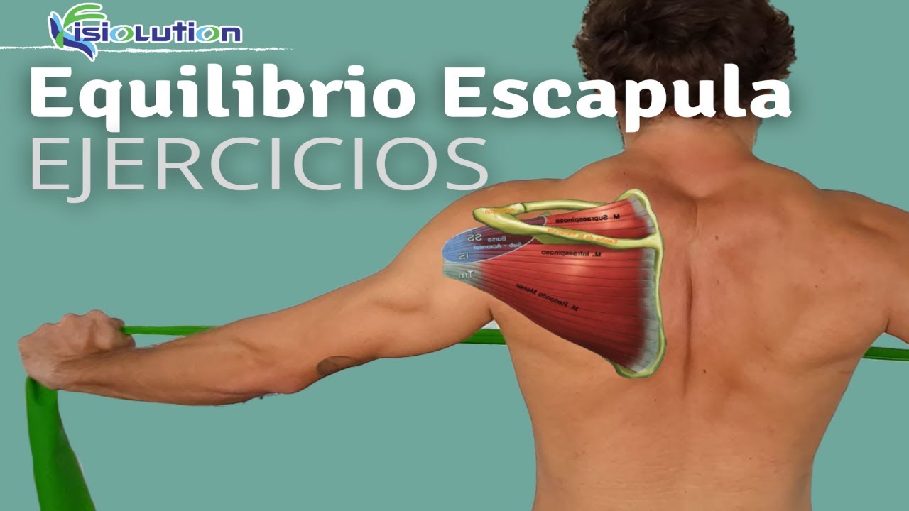 EQUILIBRIO ESCAPULA - HOMBRO: EJERCICIOS para evitar DOLOR | Fisiolution