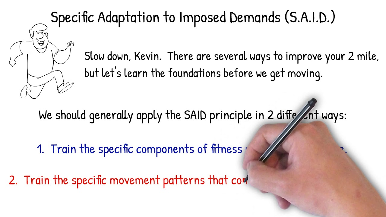 Exercise Science Foundations 2 - S.A.I.D. Principle