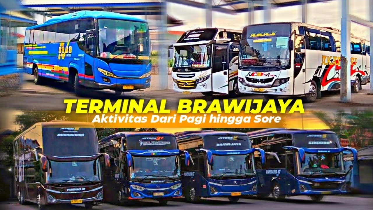 SANGAR🔥Bus diterminal brawijaya banyuwangi || 2025 