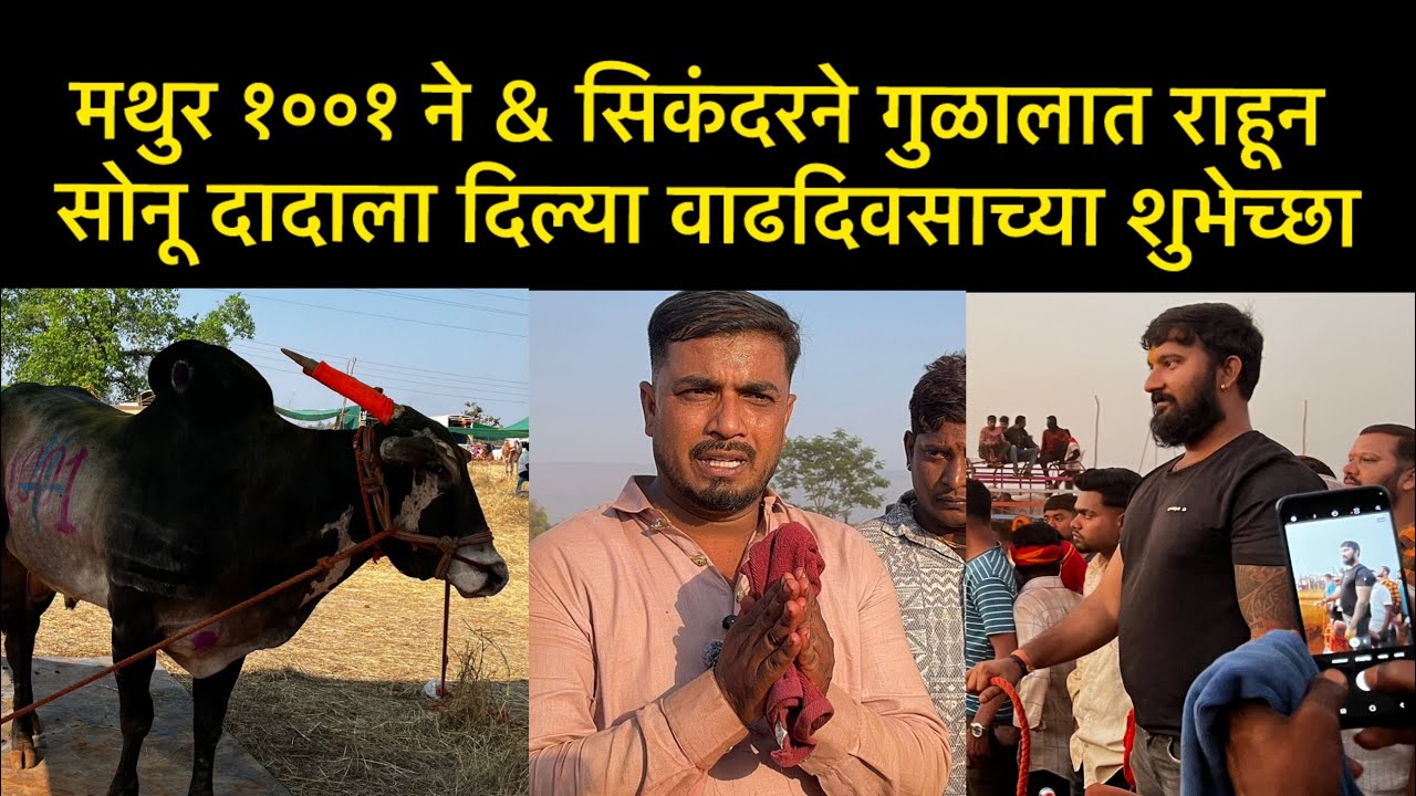 राहुल भाईला धन्यवाद बोलतो | माझ्या वाढदिवसाला मथुर दिला   | राजा ७७७ केसरी २०२६ | सोनू दादा मुलाखात