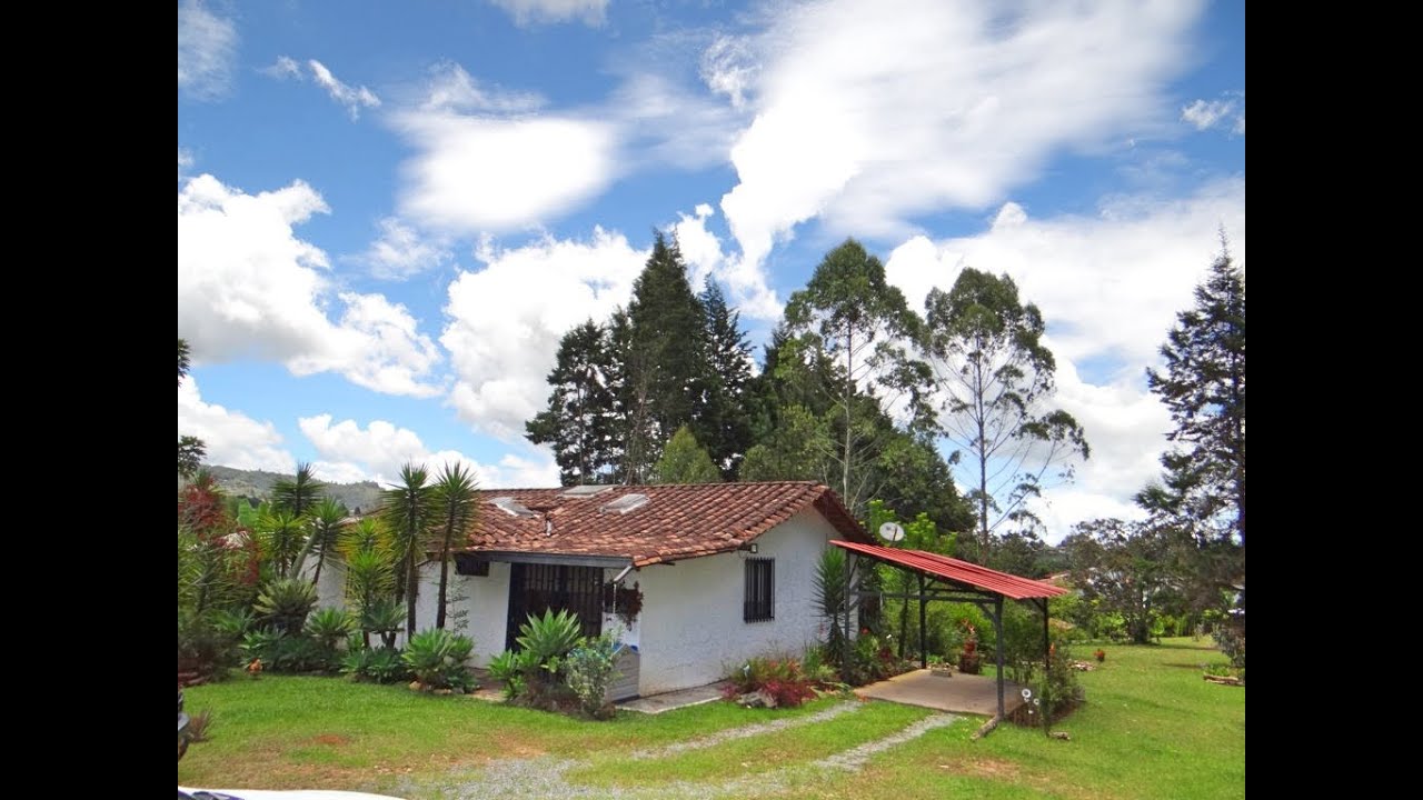 Finca en Guarne Antioquia, hojas anchas SRM
