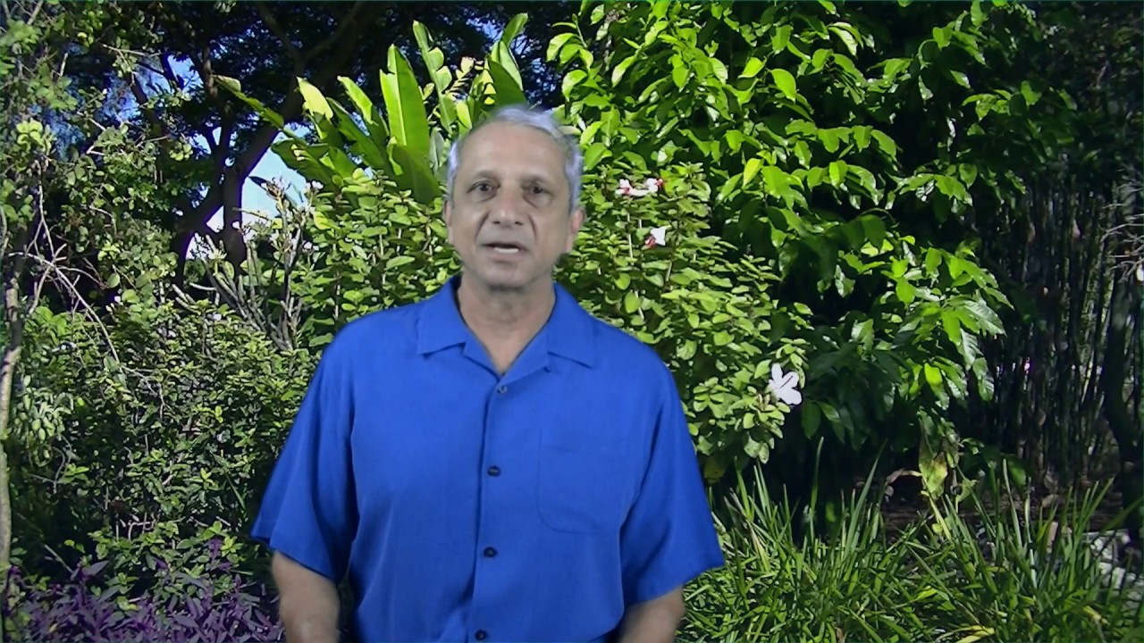 Westin Vistana StarOptions Banking