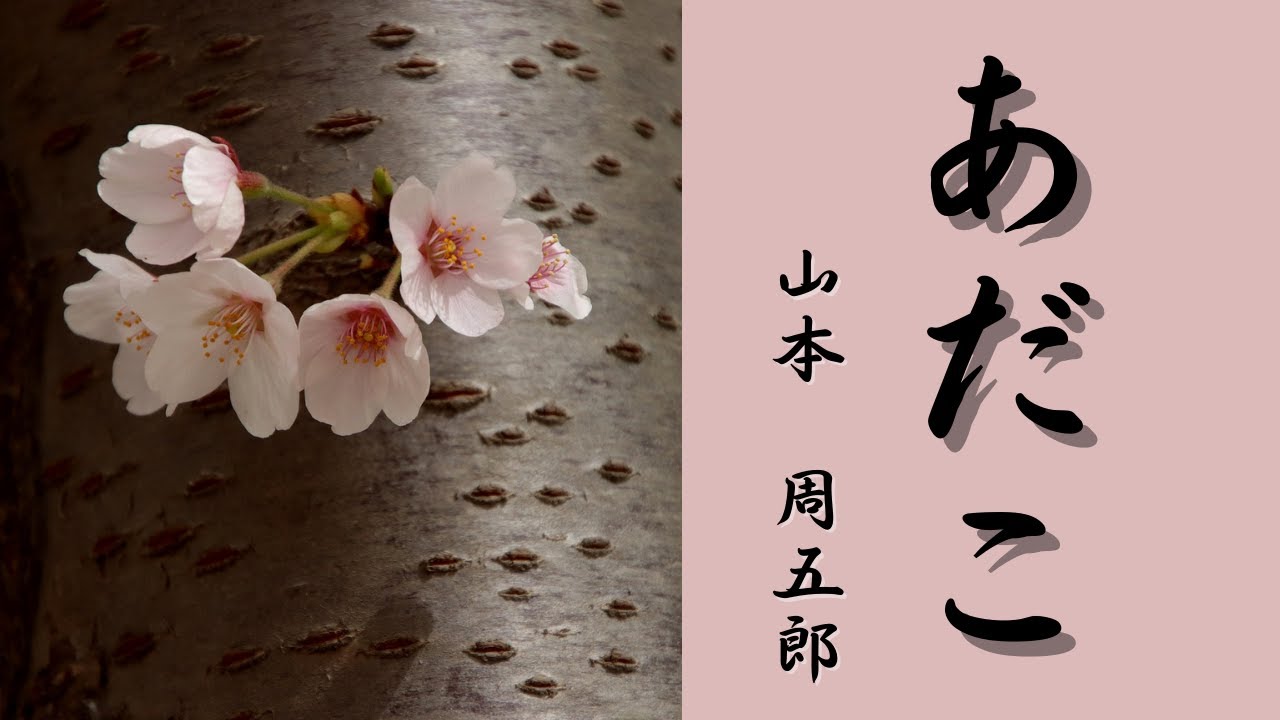 【日本文学の朗読】山本周五郎『あだこ』～許嫁に裏切られ失意のどん底にいた若き旗本・小林半三郎の屋敷に、ある日女中志願の若い女が入り込んできた～