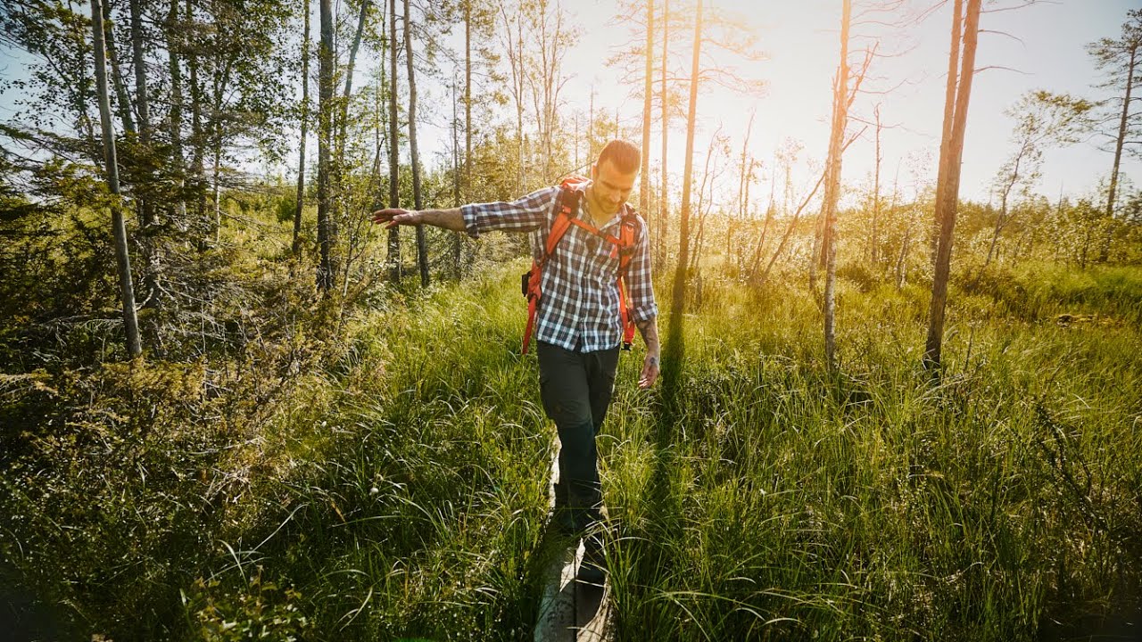 My FIRST hike in Swedish Lapland