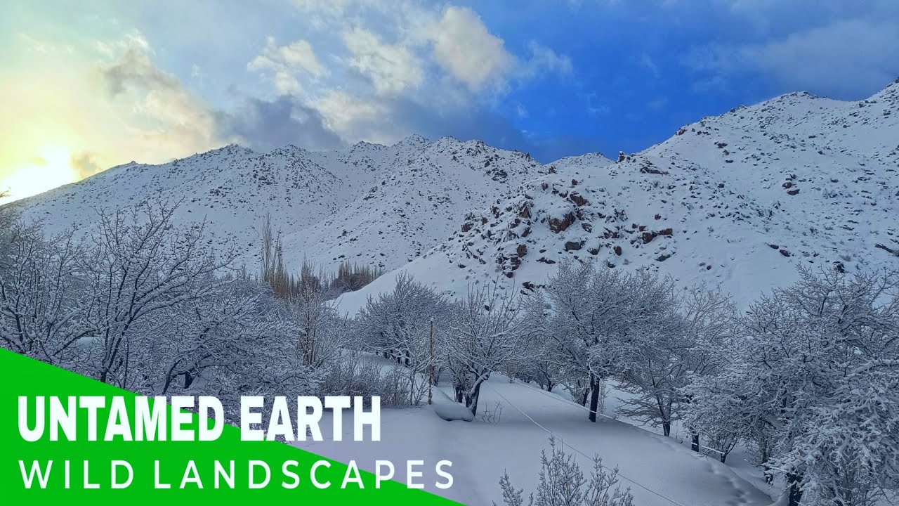 UNTAMED EARTH | A Calm Journey Through Wild Landscapes 🏔️