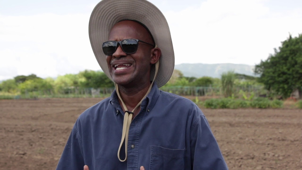 Agriviews Segment s05e07 Imagination Farms Onions & Machines