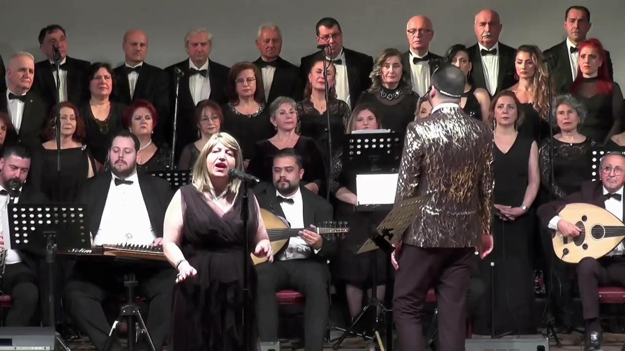 Suzan Sarı  - Kalbim yine üzgün seni andım da derinden