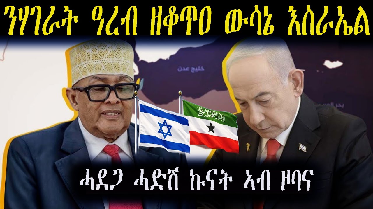 ኣፍልጦ ሃገርነት ሶማሊላንድ ኣብ ዞባና እንታይ ኮን ከውልድ'ዩ?