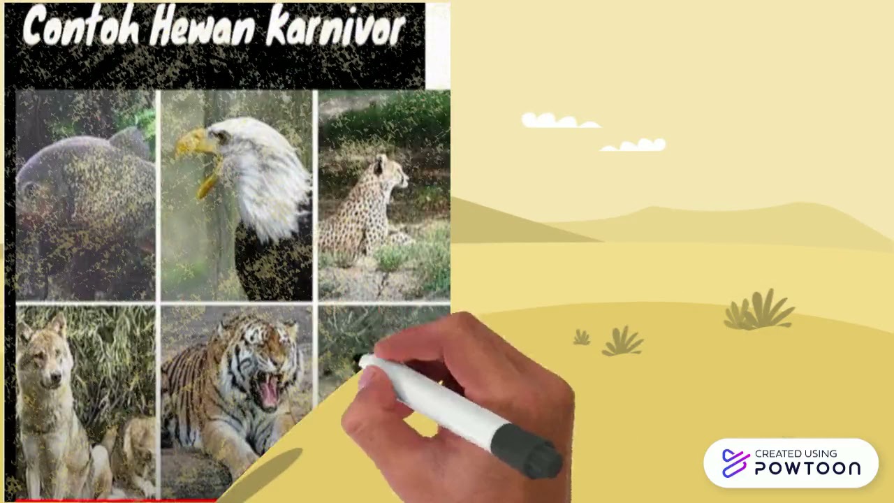 Hewan herbivor,karnivor dan omnivor