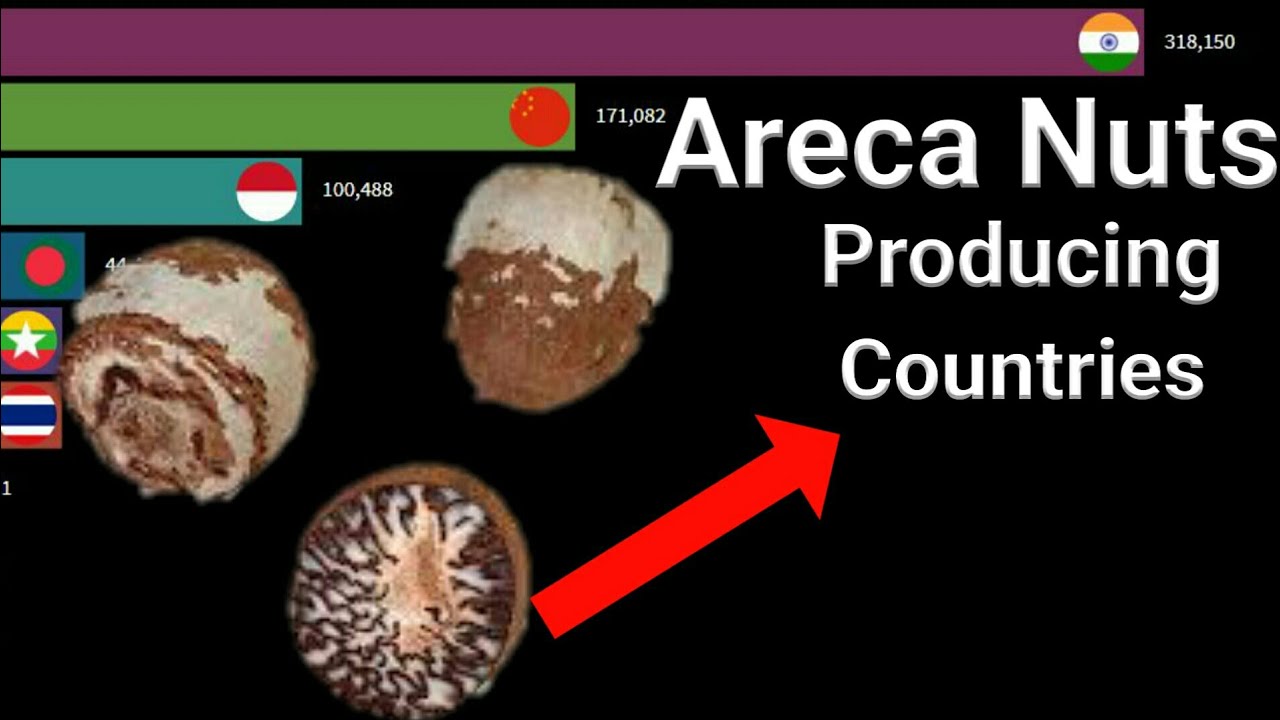 | Areca Nuts Producing Countries | | Areca Nuts | | Areca Nuts Production |