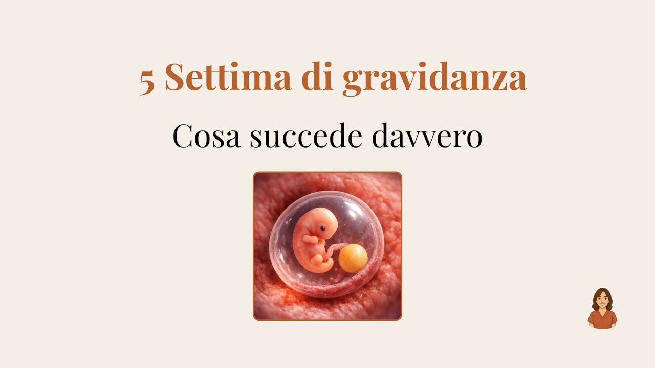 5 Settimana di Gravidanza: Sintomi, Beta-hCG ed Ecografia (Cosa Succede a Te e Bimbo) | Mammamather