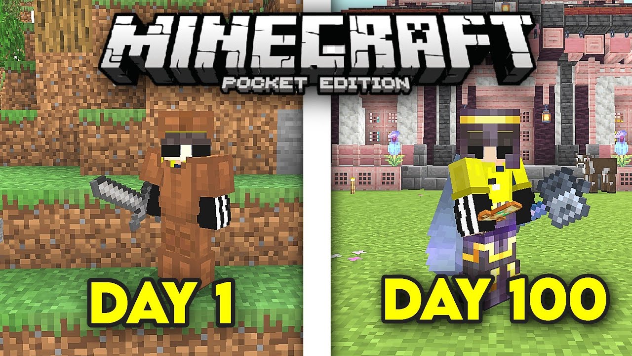 I Survived 100 days In Minecraft