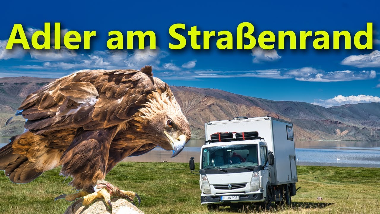 Adler, Ölgii und die ewige Weite der Steppe | Ein Gefühl von Freiheit in der MONGOLEI | Ep 32