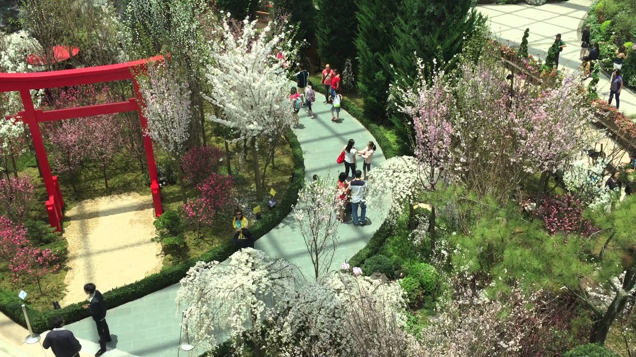 Hanami at Gardens by the Bay
