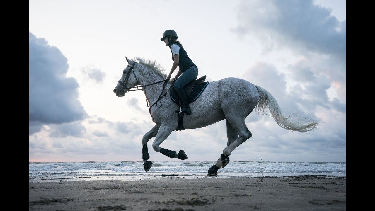 Hymn For The Weekend || Show Jumping & Dressage Music Video