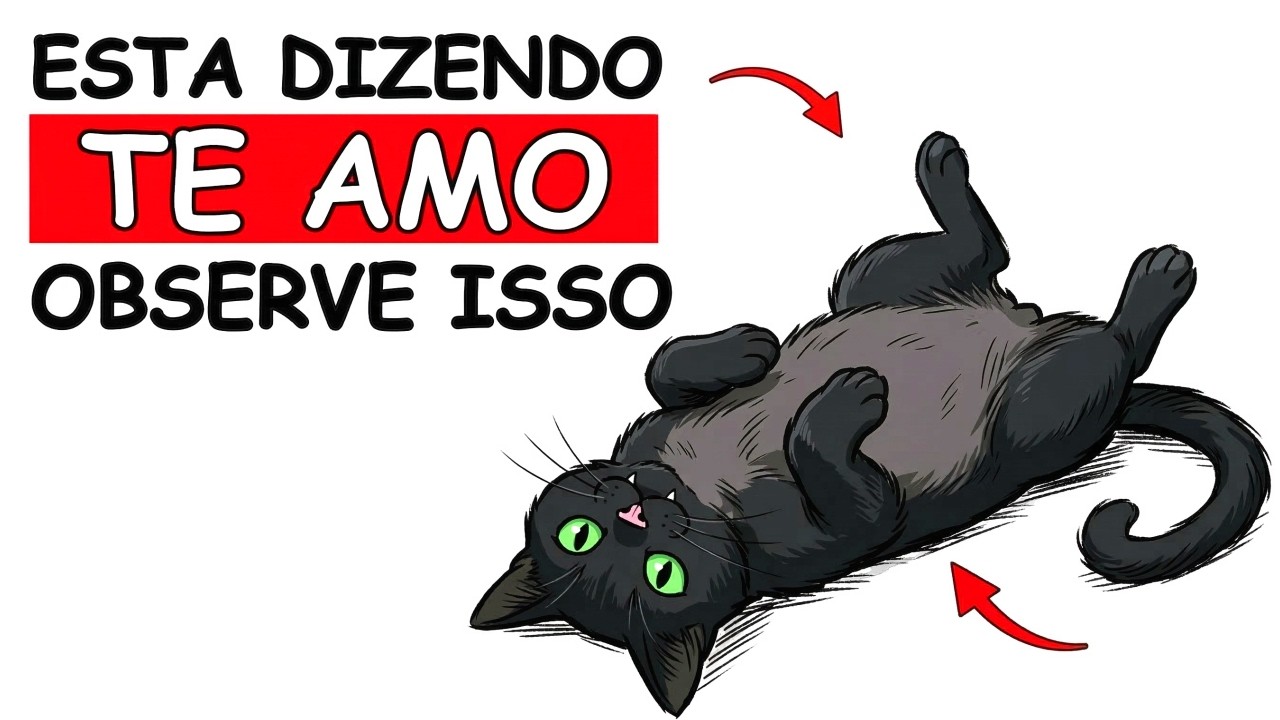 Se seu Gato Faz isso, ELE ESTÁ DIZENDO QUE TE AMA!