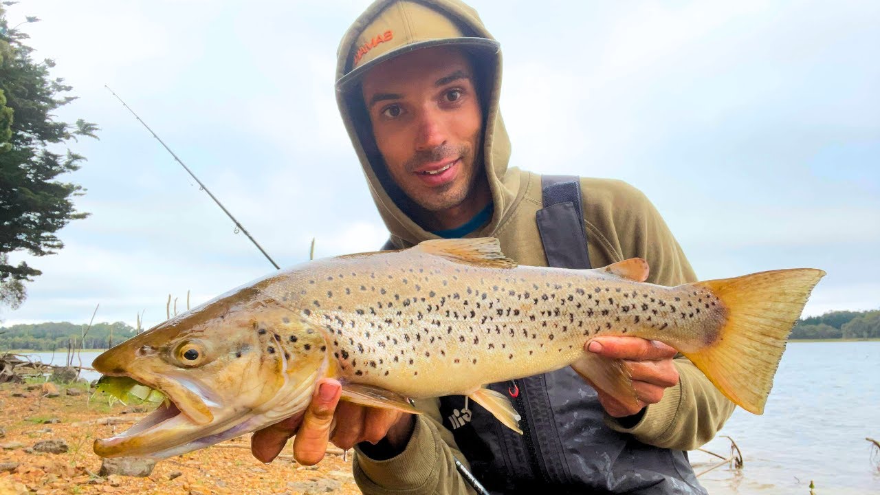 Trout and Redfin Fishing with lures! Melbourne Australia