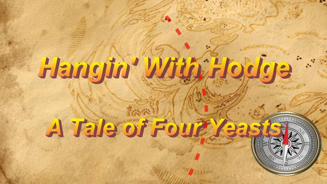 A Tale of Four Yeasts (Pt 2)