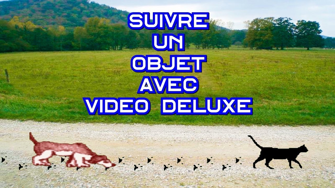 Suivre un objet avec Video Deluxe
