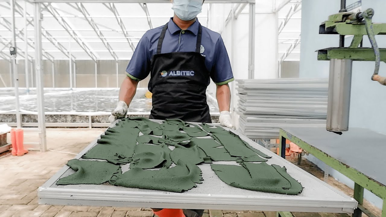 Exploring the Largest Spirulina Producer in Indonesia: ALBITEC Company Profile