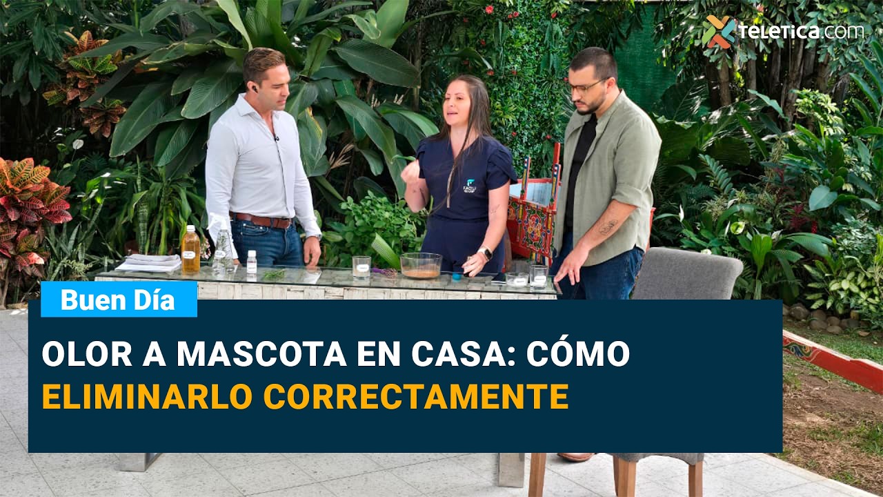 Olor a mascota en casa: cómo eliminarlo correctamente