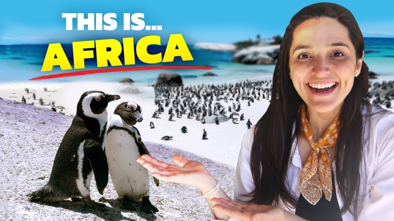 We Found 3,000 Penguins in South Africa!
