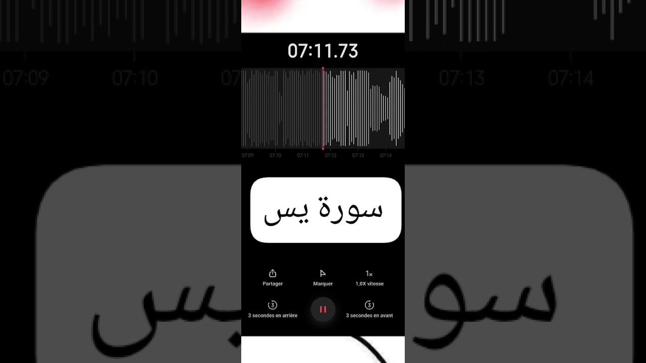تلاوة عطرة لسورة يس